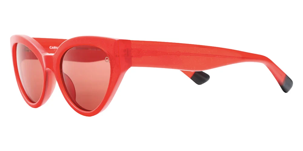 Etnia Barcelona® CARNABY SUN - Image 9