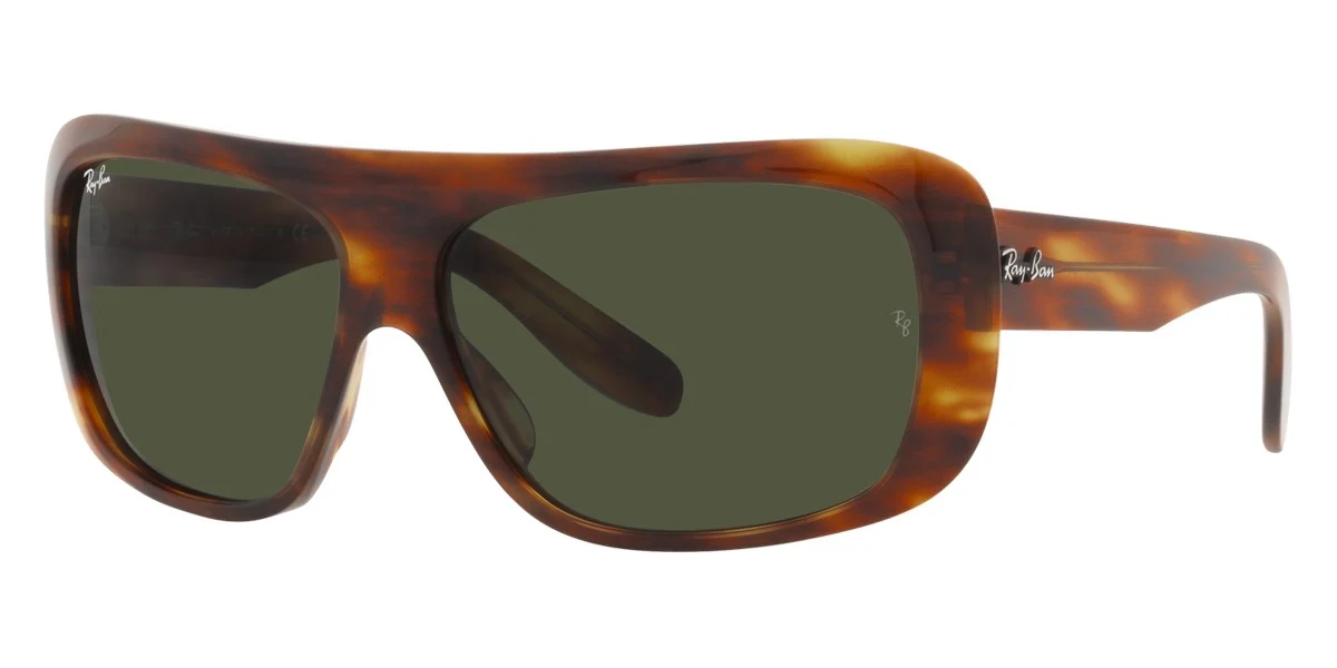 Ray-Ban® Blair RB2196 - Image 6