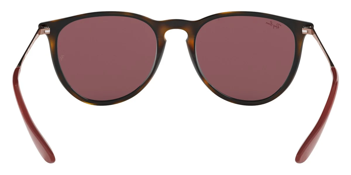 Ray-Ban® Erika RB4171 - Image 58
