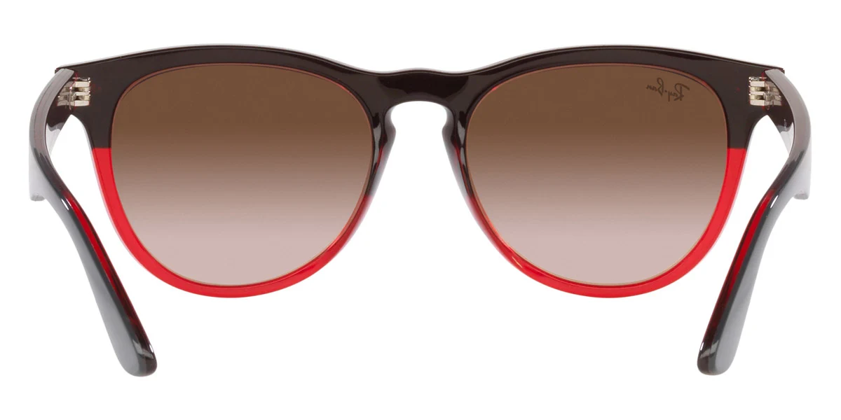 Ray-Ban® Iris RB4471 - Image 12