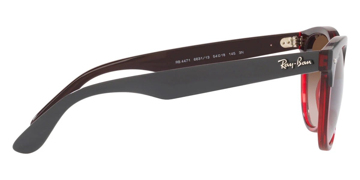 Ray-Ban® Iris RB4471 - Image 19