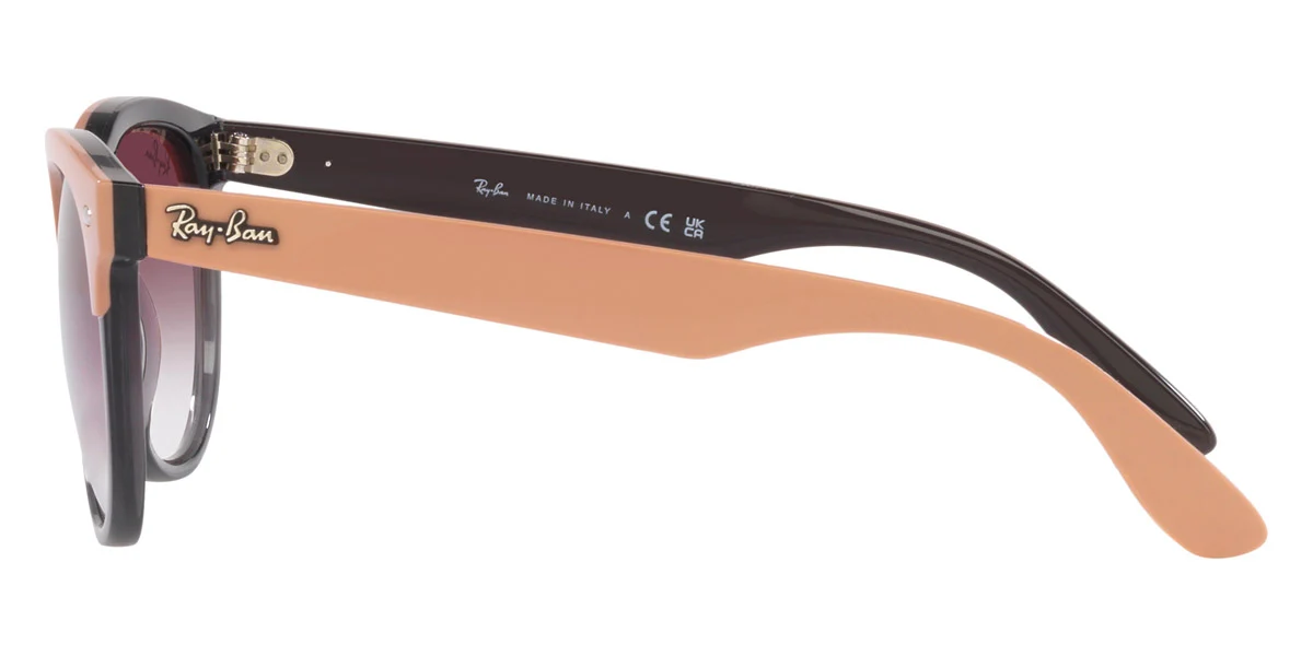 Ray-Ban® Iris RB4471 - Image 22