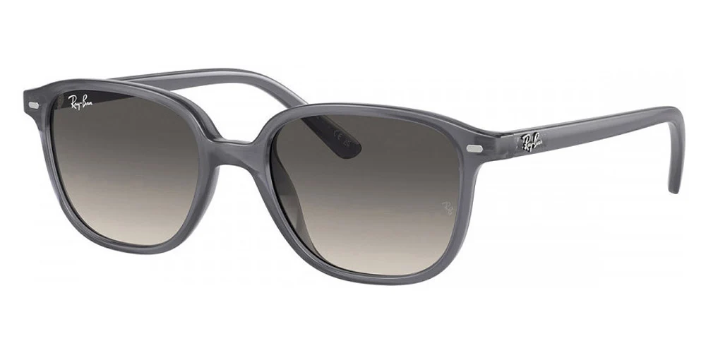 Ray-Ban® Junior Leonard RJ9093S - Image 10
