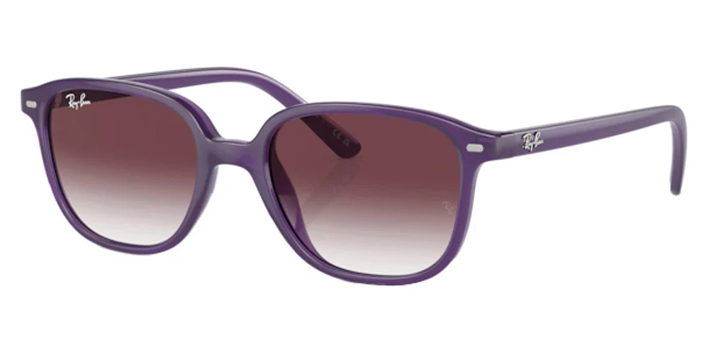 Ray-Ban® Junior Leonard RJ9093S - Image 12