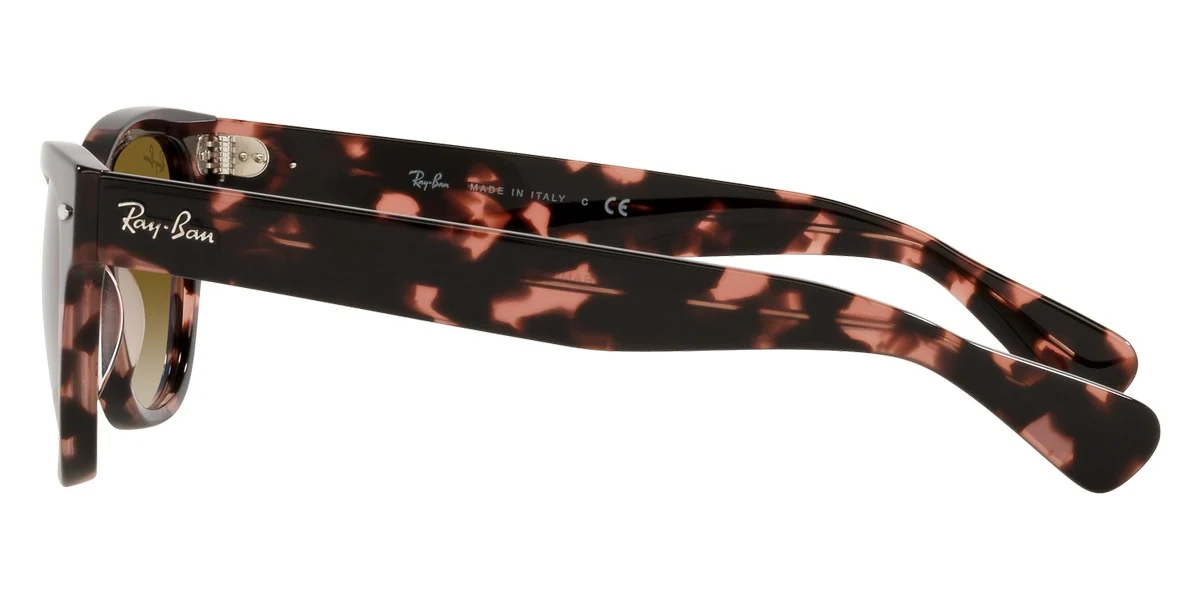 Ray-Ban® Laramie RB2201 - Image 19