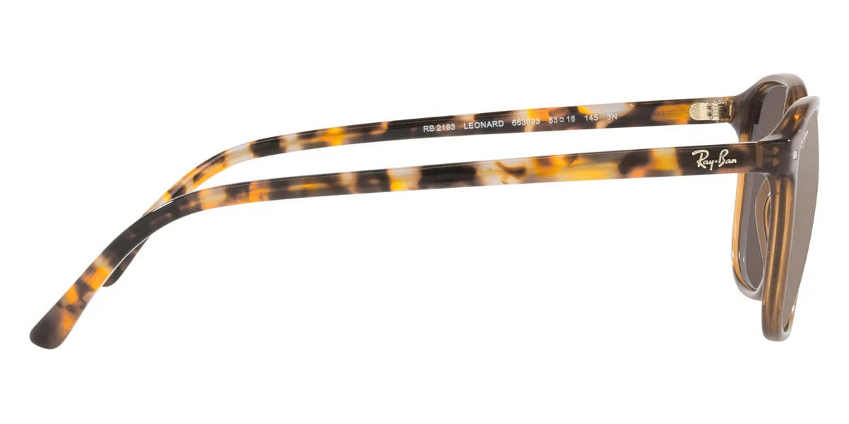 Ray-Ban® Leonard RB2193 - Image 55