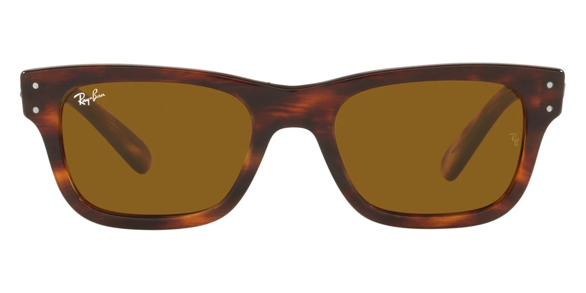 Ray-Ban® Mr BuRBank RB2283 - Image 3