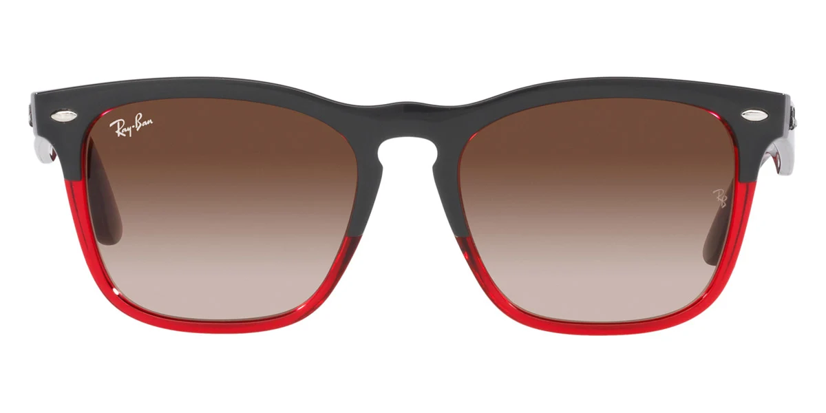 Ray-Ban® Steve RB4487F - Image 3