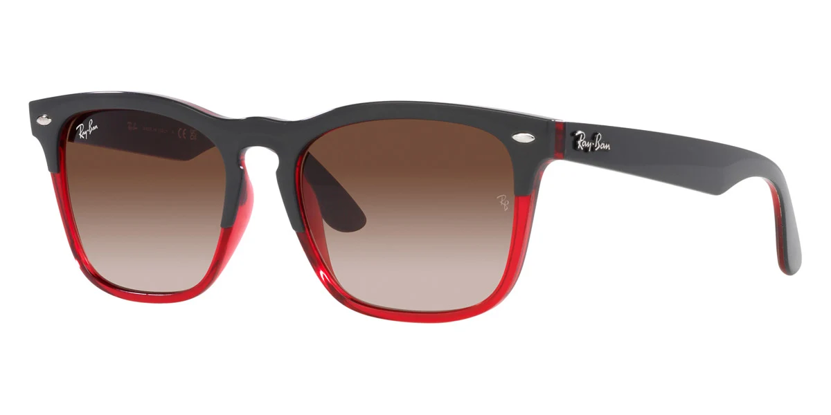 Ray-Ban® Steve RB4487F - Image 4