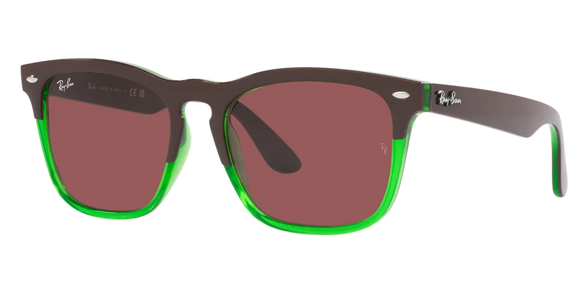 Ray-Ban® Steve RB4487F - Image 6